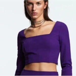 Zara long sleeve purple crop top